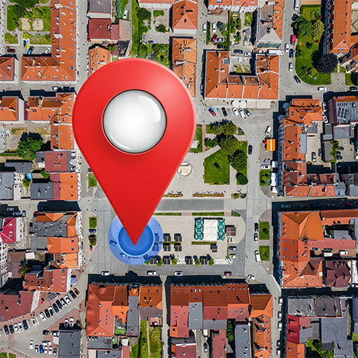 GPS uydu görüntüsü haritası