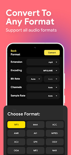 Audio Converter - MP4 to MP3 ekran görüntüsü
