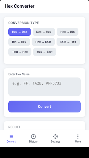 Hex Converter ekran görüntüsü