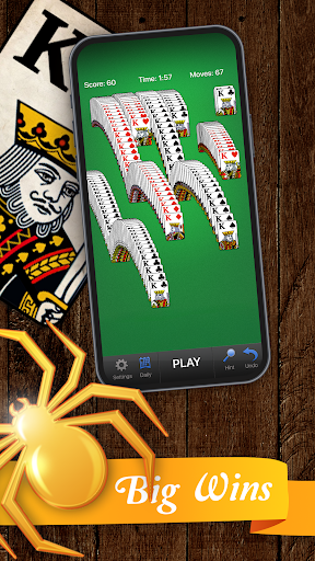 Classic Spider Solitaire Cards ekran görüntüsü