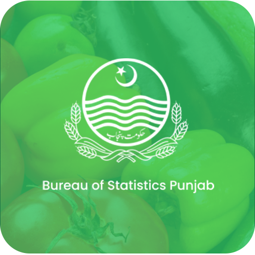 Punjab Retail Price