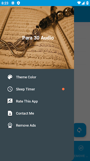 Para 12 Audio ekran görüntüsü
