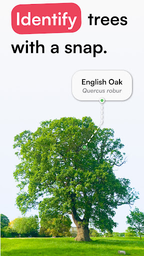 TreeID - Tree Identifier ekran görüntüsü