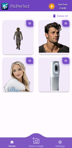 PicPerfect ekran görüntüsü