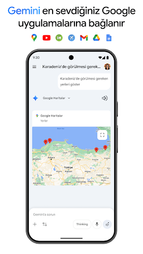 Google Gemini ekran görüntüsü