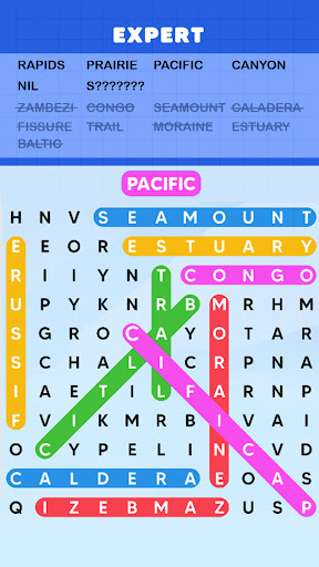 Word Search Puzzle Challenge ekran görüntüsü