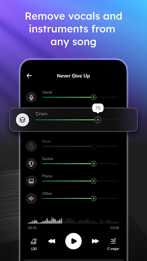 Vocal Remover - Musiclab ekran görüntüsü