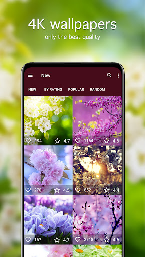 Spring Wallpapers 4K ekran görüntüsü