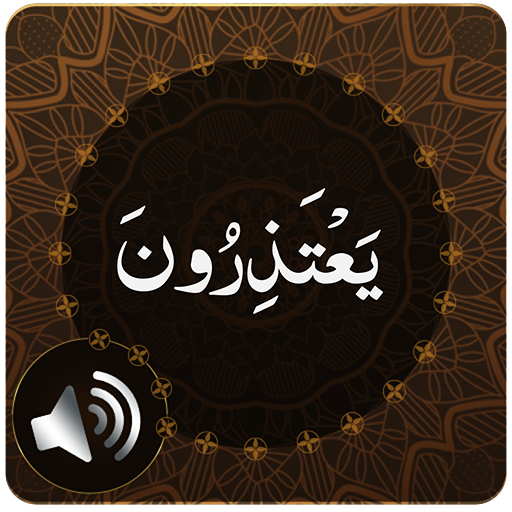 Para 11 Audio