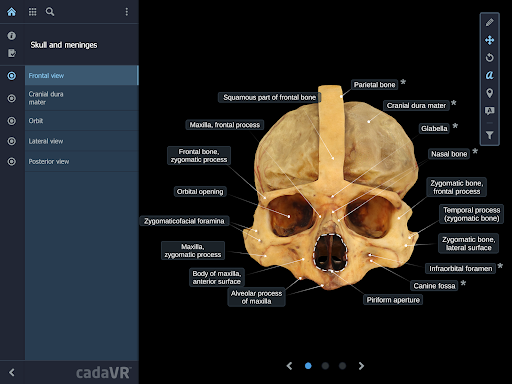 cadaVR anatomy ekran görüntüsü