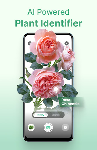 Plant Identifier - AI Diagnose ekran görüntüsü
