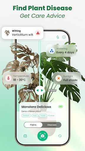 Plant Identifier: Tips & Care ekran görüntüsü