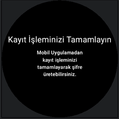 e-Devlet Anahtar ekran görüntüsü