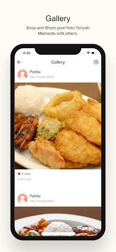 Yoko Teriyaki ekran görüntüsü