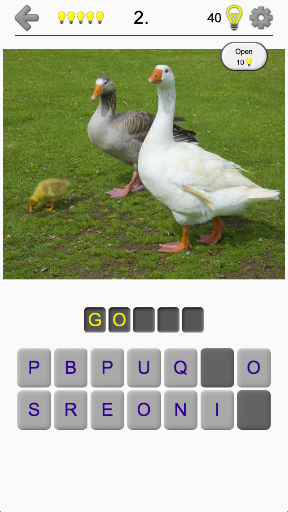 Bird World - Famous Birds Quiz ekran görüntüsü