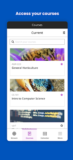 Blackboard ekran görüntüsü