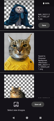 AI Background Image Remover ekran görüntüsü