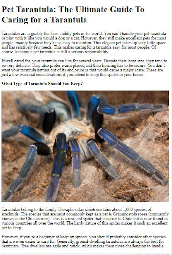 Pet Tarantula Care Guide ekran görüntüsü