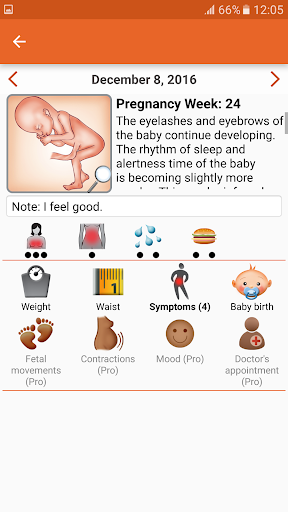 WomanLog Pregnancy Calendar ekran görüntüsü