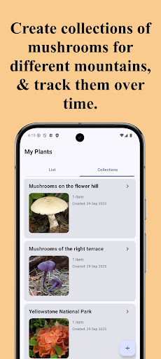 Forest Mushroom Identification ekran görüntüsü
