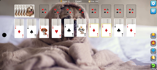 Solitaire Spider Four Suit ekran görüntüsü