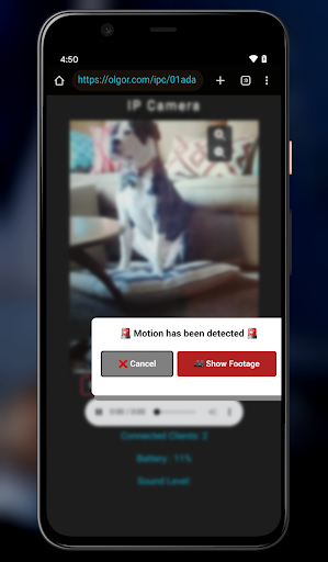 WiFi IP Camera ekran görüntüsü