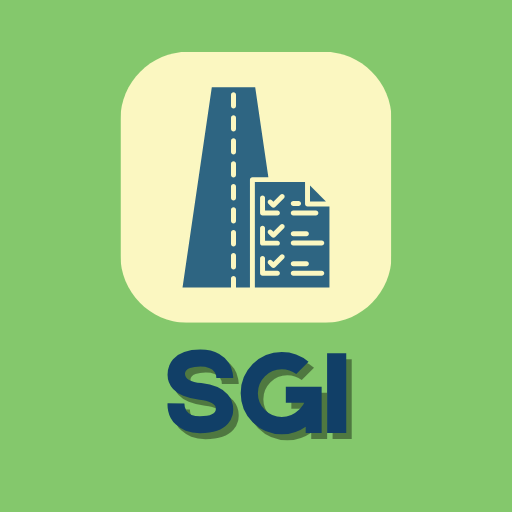 SGI Practice Test