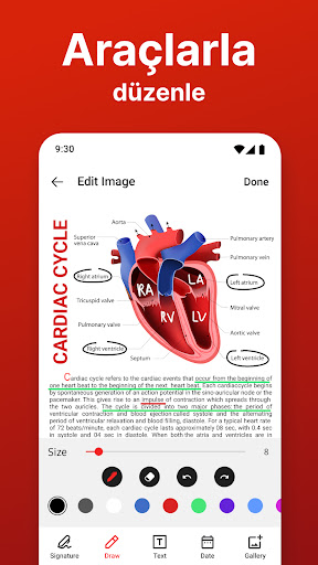 PDF dönüştürücü: JPG den PDF ekran görüntüsü