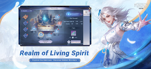 Perfect World Mobile ekran görüntüsü