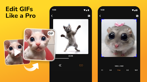 GIF Oluşturucu: GIF Düzenle ekran görüntüsü