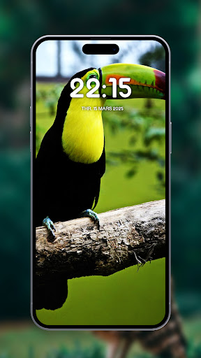 Birds Wallpapers ekran görüntüsü