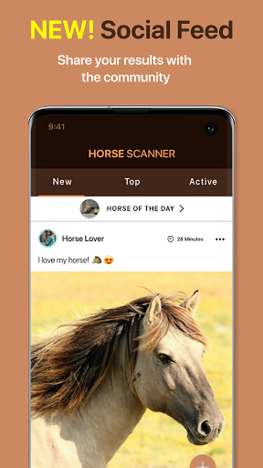 Horse Scanner ekran görüntüsü