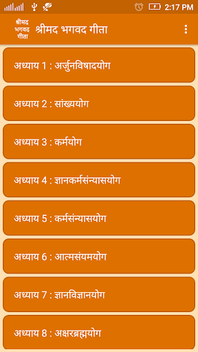 Bhagavad Gita in Hindi ekran görüntüsü