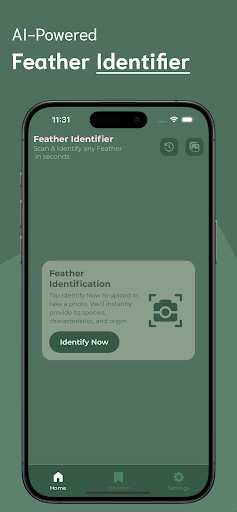 Feather Identifier ekran görüntüsü