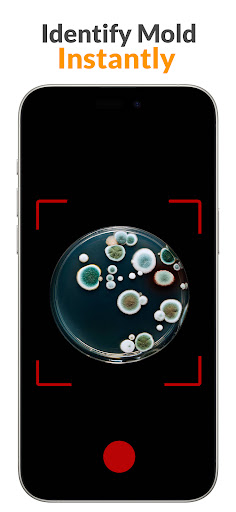 Ai Mold identifier ekran görüntüsü