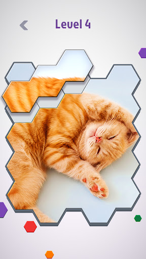 Hexa Swap: Jigsaw Puzzle HD ekran görüntüsü