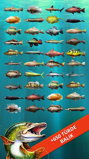Let's Fish: Balık Oyunları ekran görüntüsü