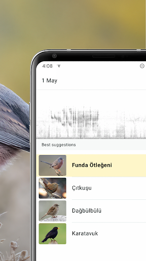 Merlin Bird ID by Cornell Lab ekran görüntüsü