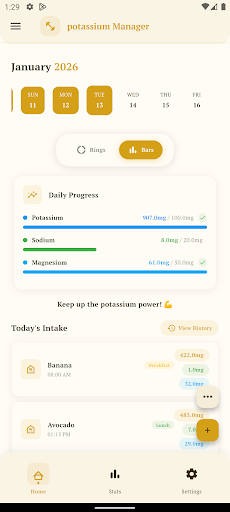 Simple Potassium Tracker ekran görüntüsü