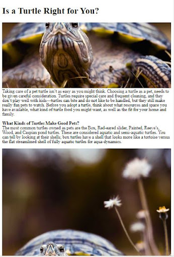Pet Turtle Care Guide ekran görüntüsü