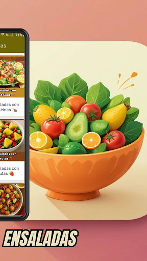 Recetas de Ensaladas ekran görüntüsü