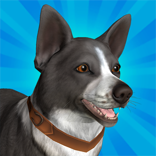 Pocket Paws: My lovely dogs