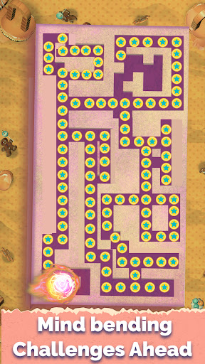 Push Ball: Maze Puzzle ekran görüntüsü