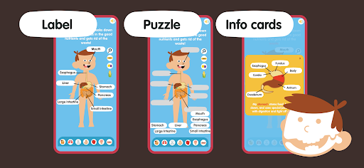 Human Body for Kids ekran görüntüsü