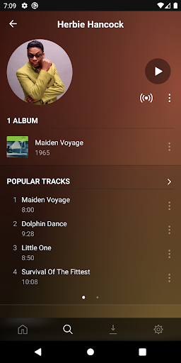 Plexamp ekran görüntüsü