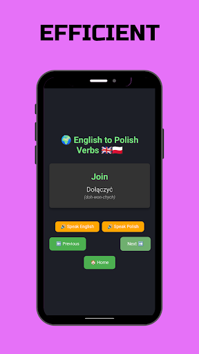 Polish Verbs ekran görüntüsü