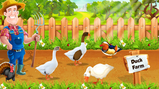 Duck Farm Eggs Chicken Poultry ekran görüntüsü