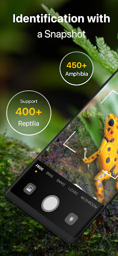 Frog Identifier Reptile ID ekran görüntüsü