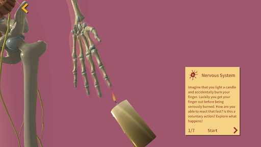 Arloon Anatomy AR ekran görüntüsü