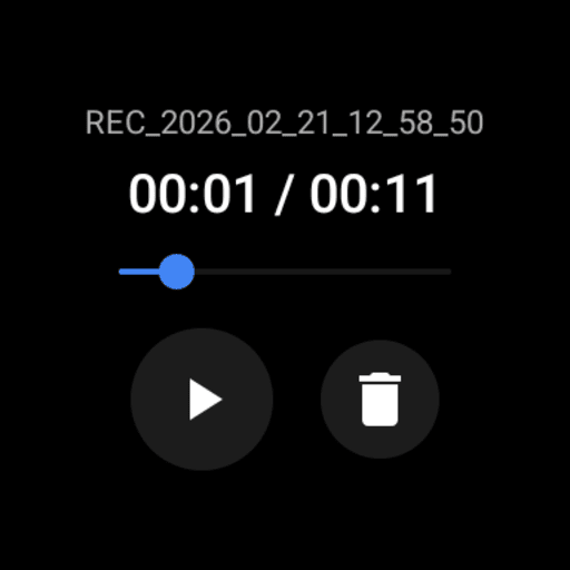 Audio Recorder Watch Pro ekran görüntüsü